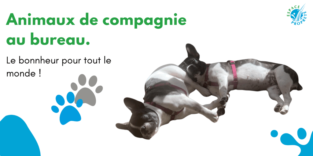 Visuel d'un chien avec le texte "Ramener son animal de compagnie au bureau, le bien-être pour tout le monde!"